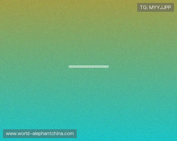 深入剖析世界杯埃及对阵伊朗的技术统计表现及比赛战术分析
