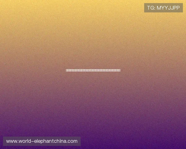 西班牙官方对沙特合法渠道说明:确保世界杯转播权益与合作渠道的合法合规性